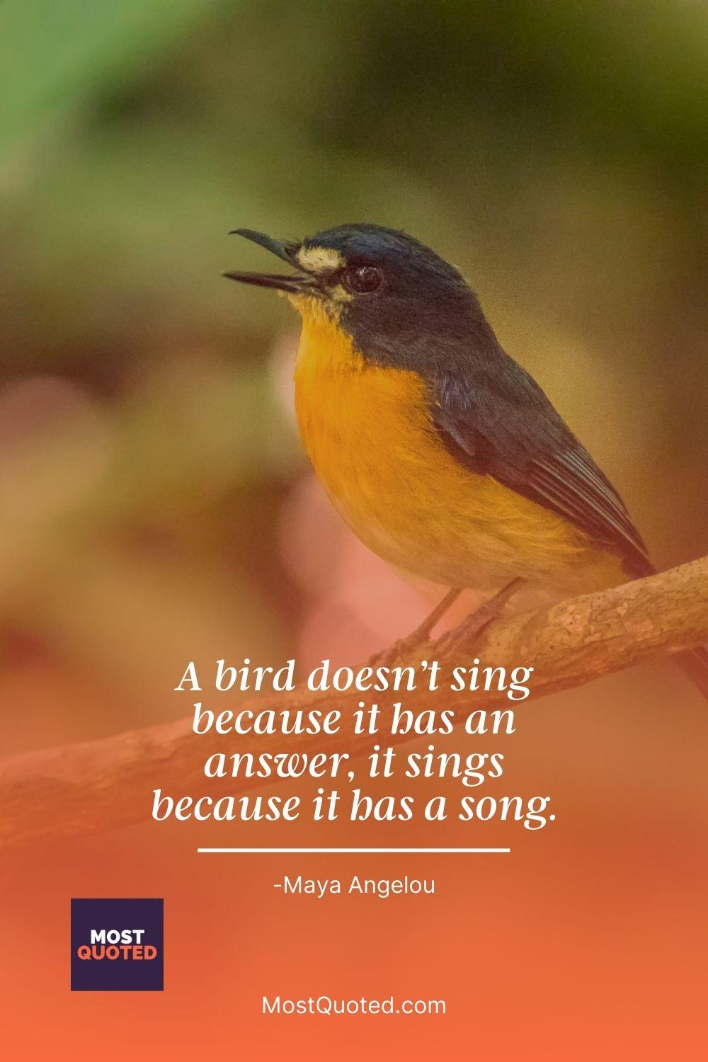 A bird doesn’t sing because it has an answer, it sings because it has a song. - Maya Angelou