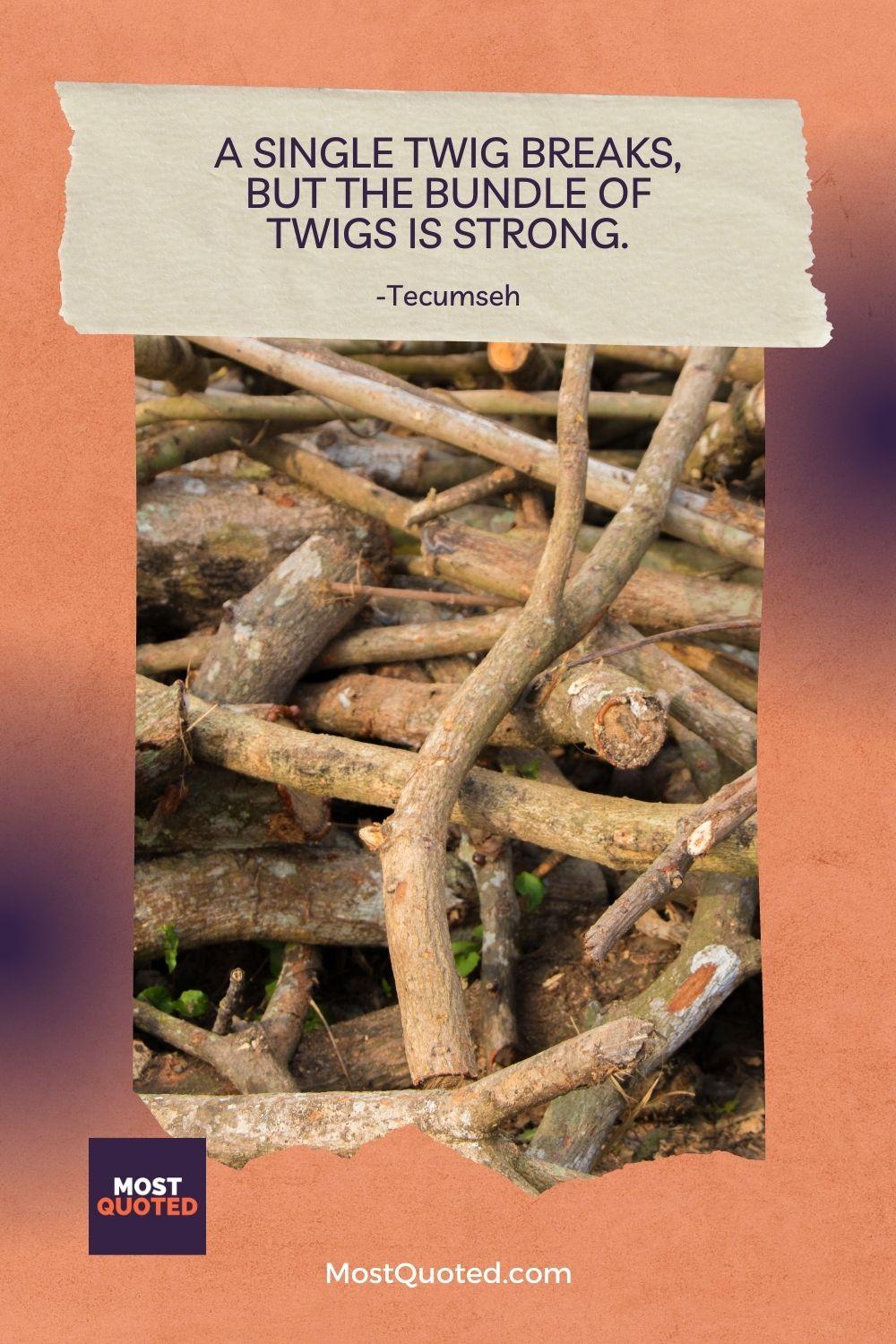 A single twig breaks, but the bundle of twigs is strong. - Tecumseh