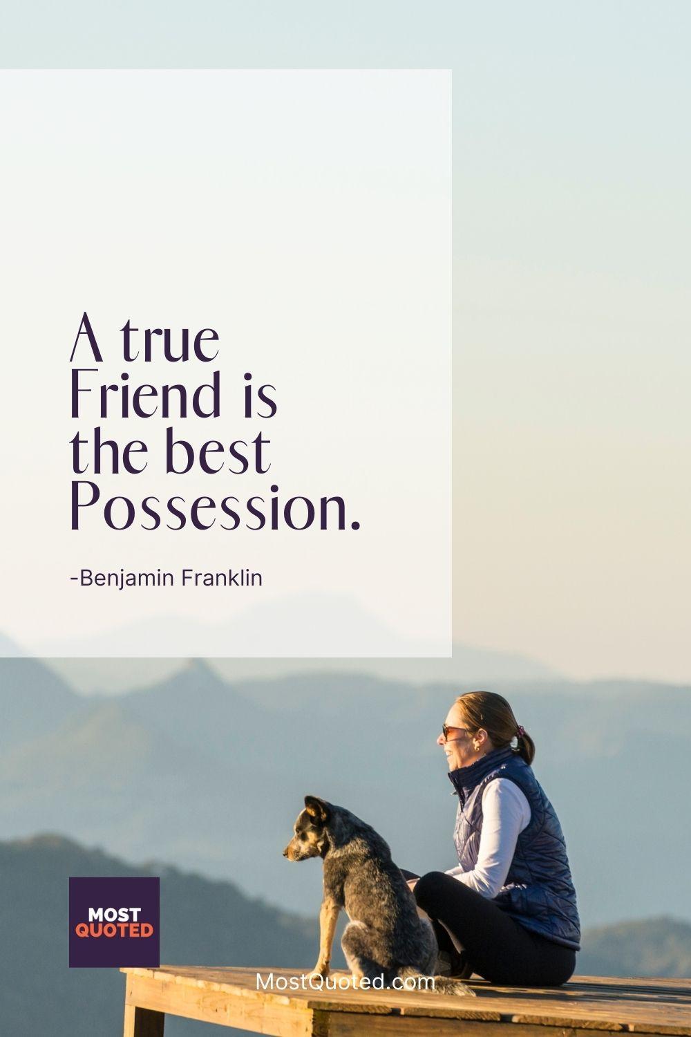 A true Friend is the best Possession. - Benjamin Franklin