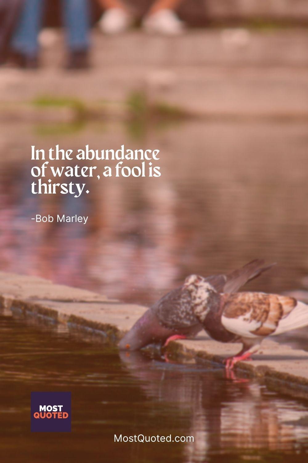 In the abundance of water, a fool is thirsty. - Bob Marley