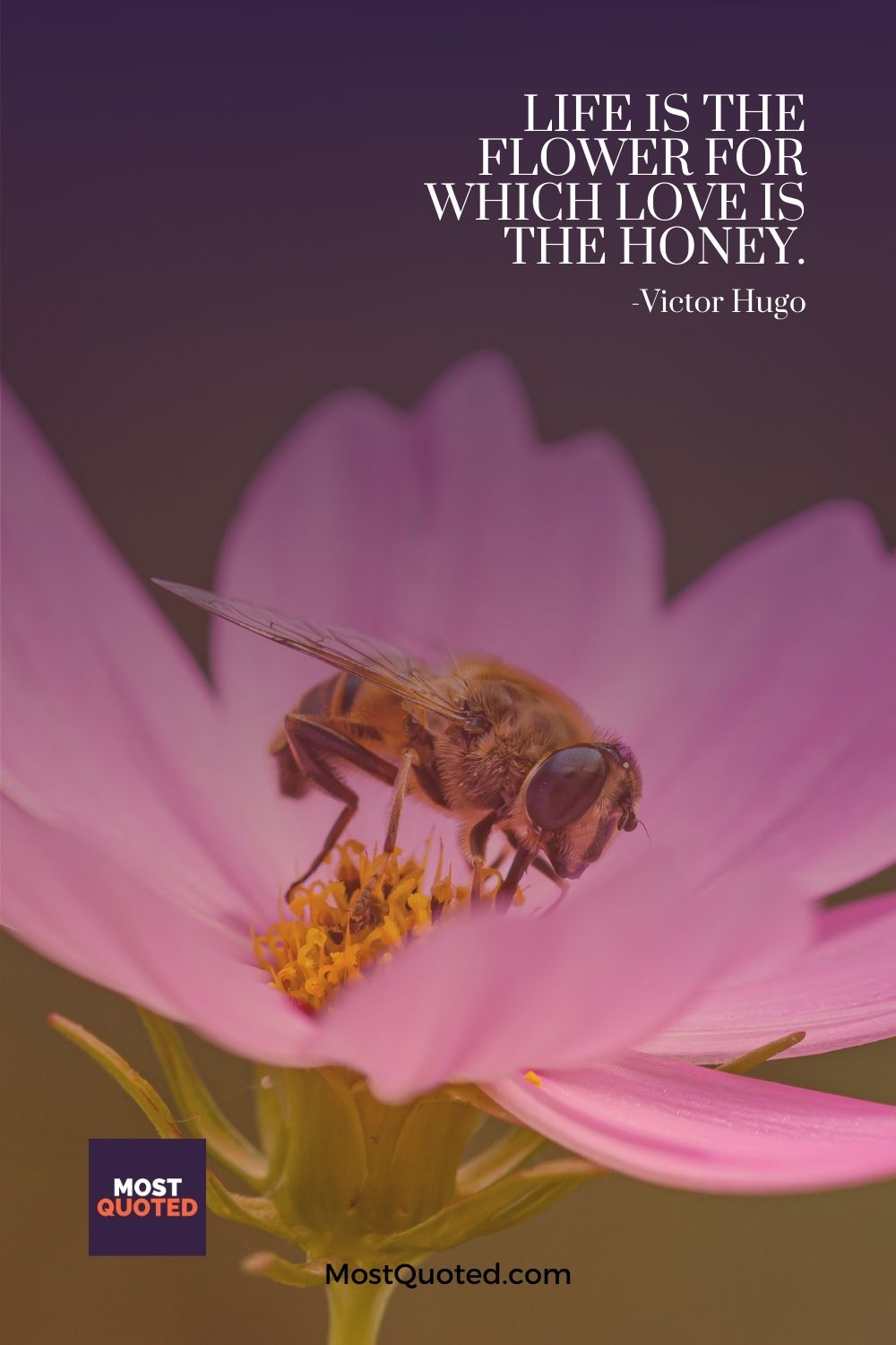Life is the flower for which love is the honey. - Victor Hugo