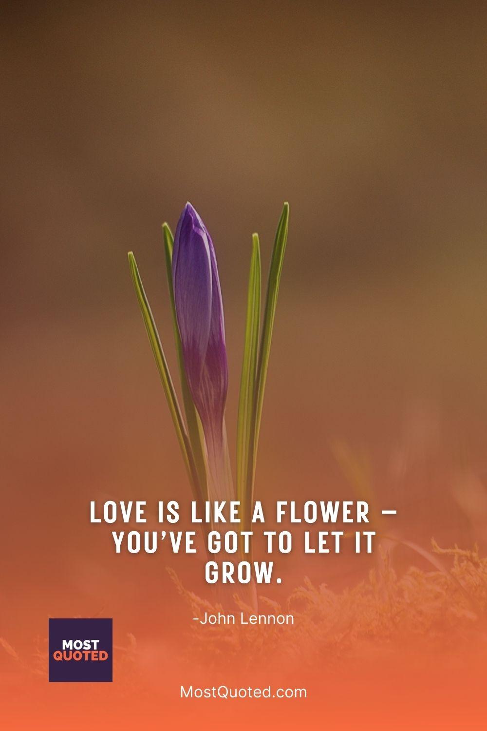 Love is like a flower – you’ve got to let it grow. - John Lennon