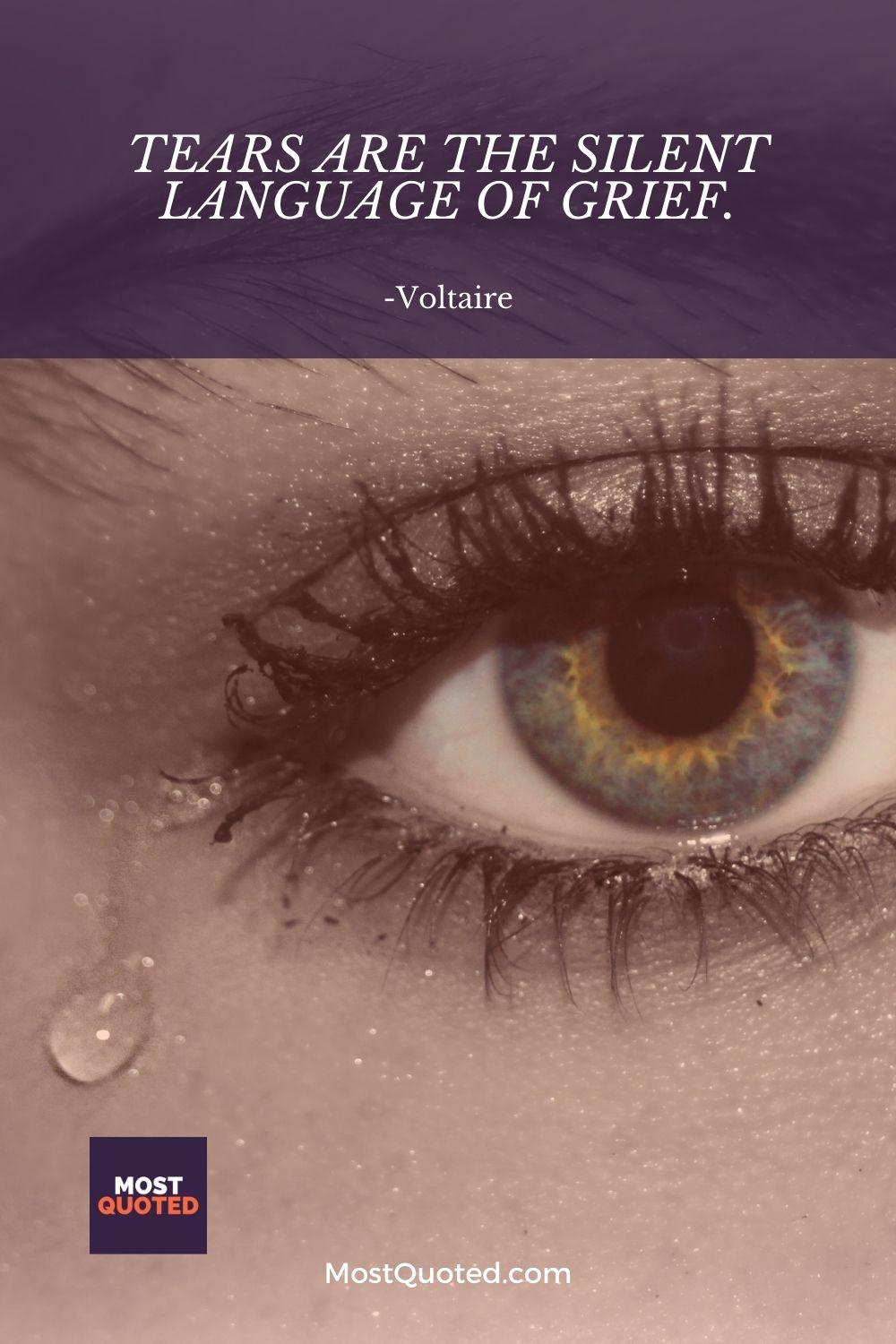 Tears are the silent language of grief. - Voltaire