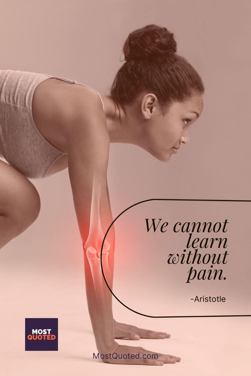 We cannot learn without pain. - Aristotle