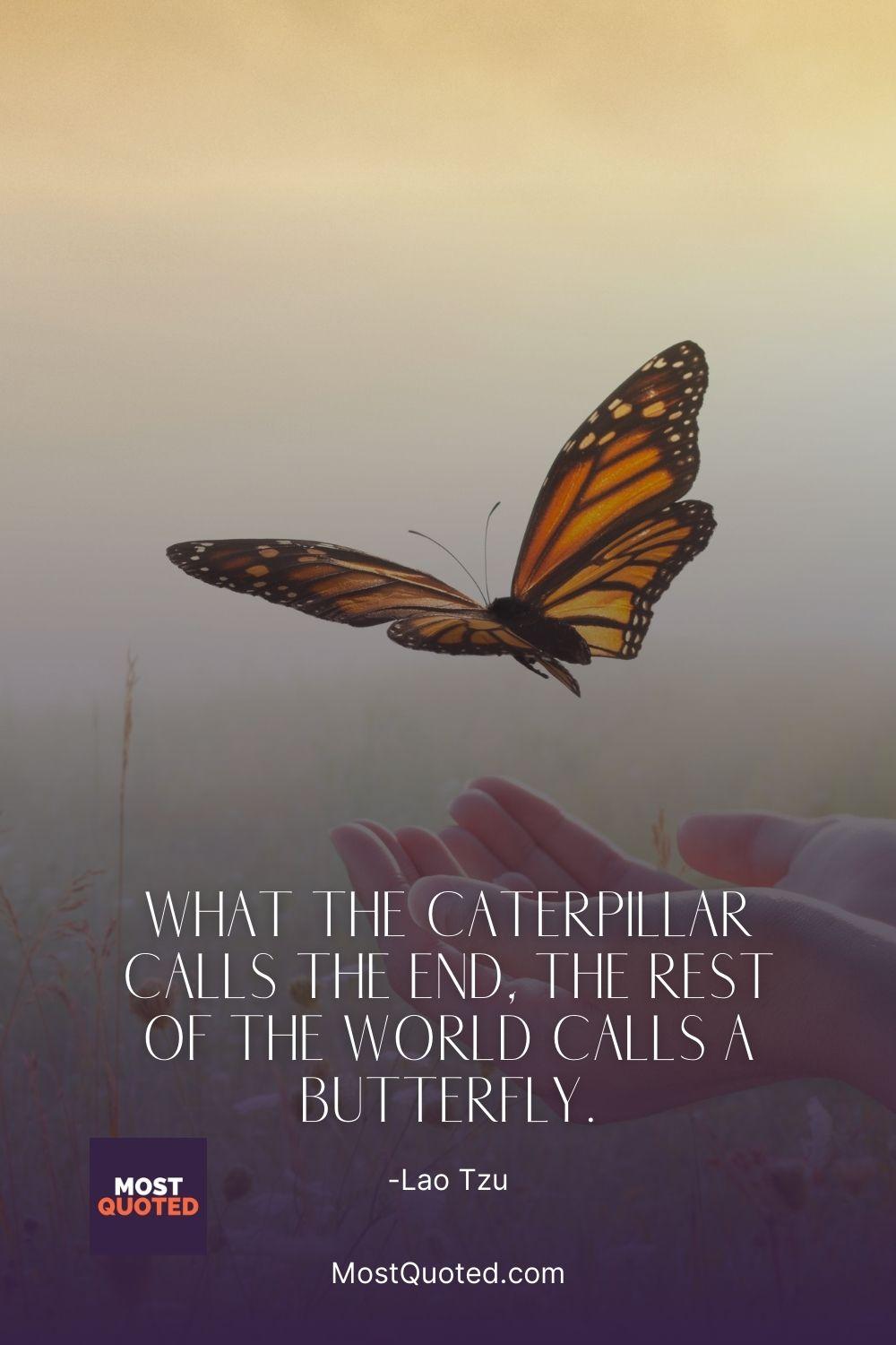What the caterpillar calls the end, the rest of the world calls a butterfly. - Lao Tzu