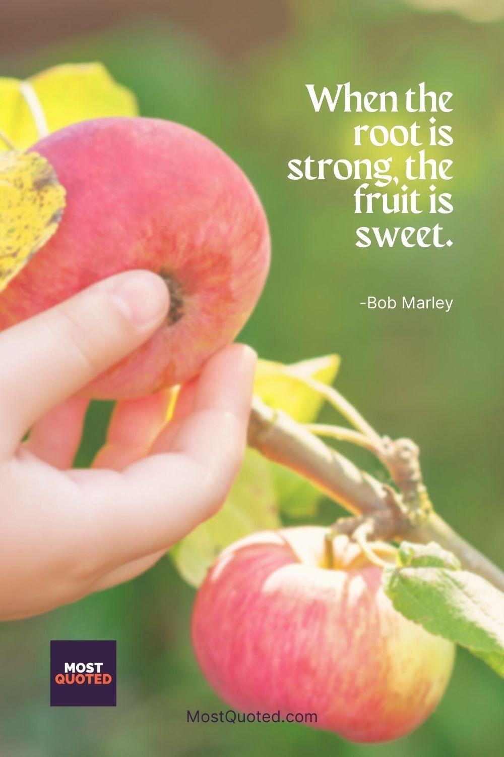 When the root is strong, the fruit is sweet. - Bob Marley