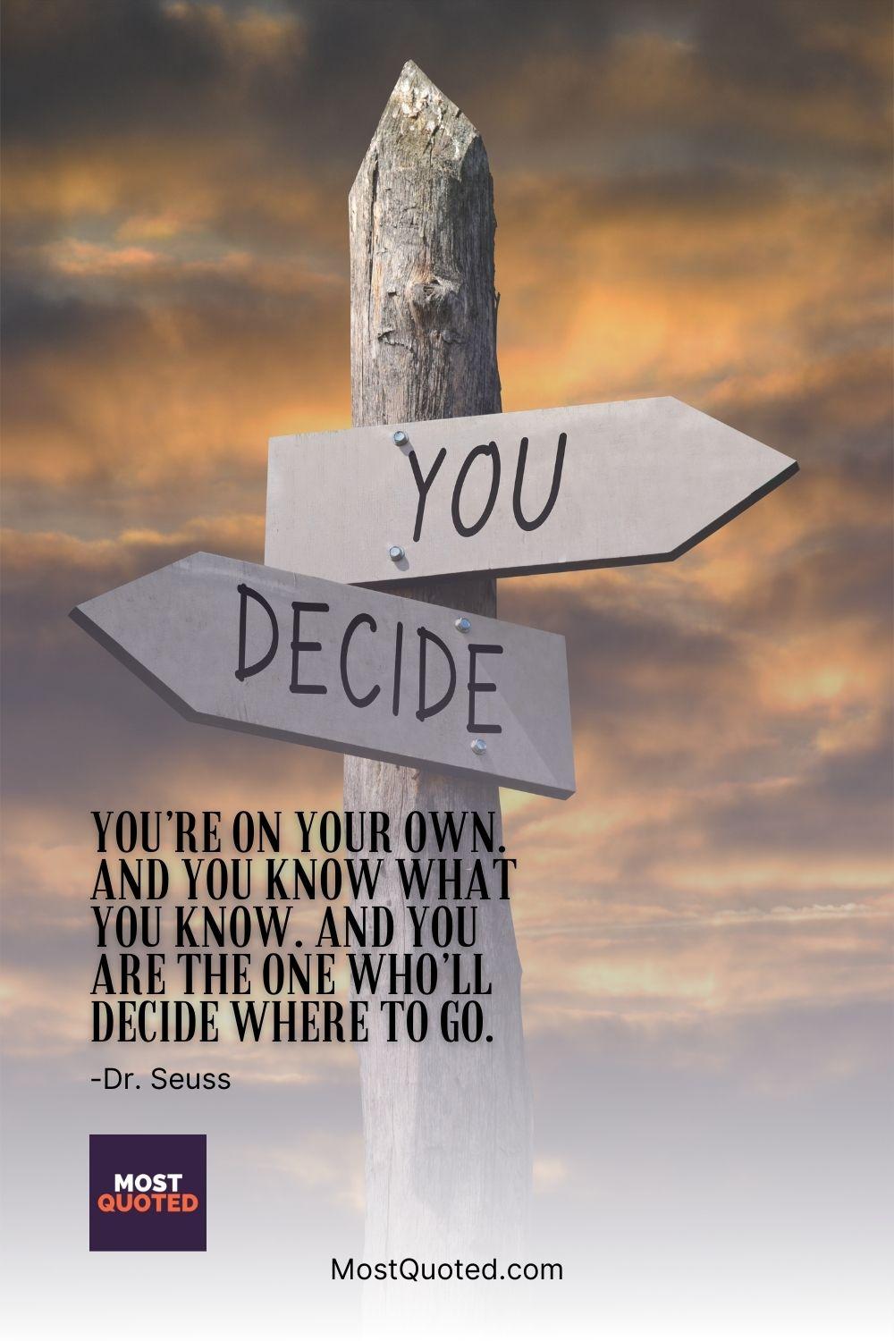 You’re on your own. And you know what you know. And you are the one who’ll decide where to go. - Dr. Seuss